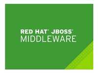 Red Hat JBoss Data Virtualization - Premium-tilaus (1 vuosi) - 4 ydintä MW00142